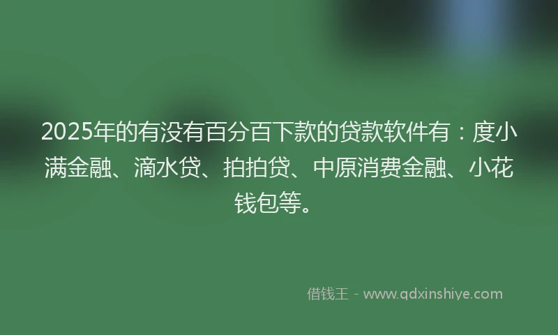 2025年的有没有百分百下款的贷款软件有：度小满金融、滴水贷、拍拍贷、中原消费金融、小花钱包等。