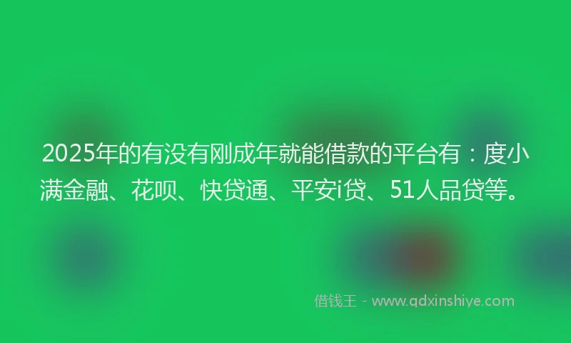 2025年的有没有刚成年就能借款的平台有：度小满金融、花呗、快贷通、平安i贷、51人品贷等。
