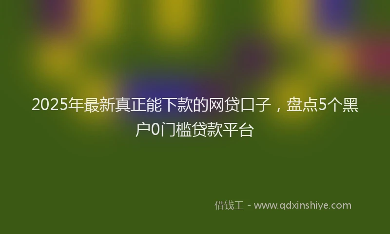 2025年最新真正能下款的网贷口子，盘点5个黑户0门槛贷款平台