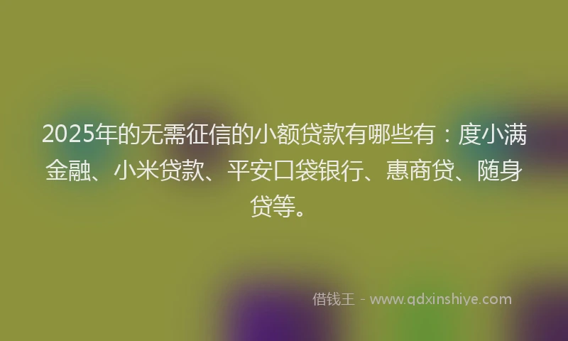 2025年的无需征信的小额贷款有哪些有：度小满金融、小米贷款、平安口袋银行、惠商贷、随身贷等。