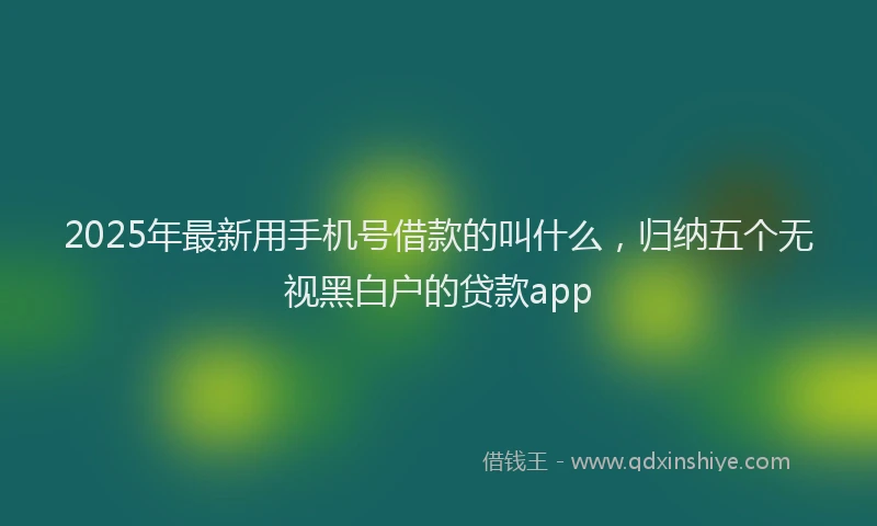 2025年最新用手机号借款的叫什么，归纳五个无视黑白户的贷款app