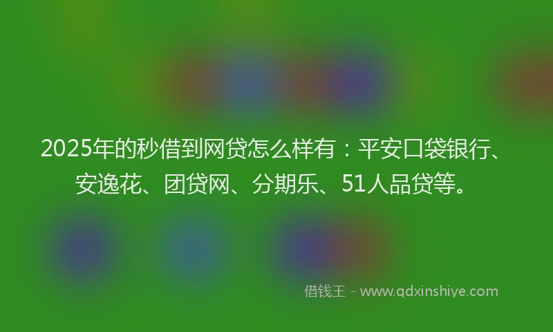 2025年的秒借到网贷怎么样有：平安口袋银行、安逸花、团贷网、分期乐、51人品贷等。