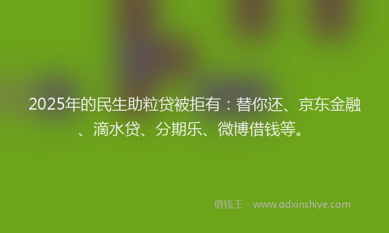 2025年的民生助粒贷被拒有：替你还、京东金融、滴水贷、分期乐、微博借钱等。