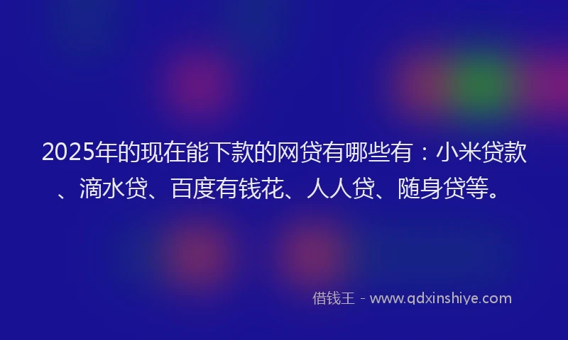 2025年的现在能下款的网贷有哪些有：小米贷款、滴水贷、百度有钱花、人人贷、随身贷等。