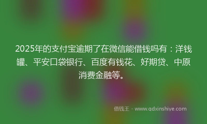 2025年的支付宝逾期了在微信能借钱吗有：洋钱罐、平安口袋银行、百度有钱花、好期贷、中原消费金融等。