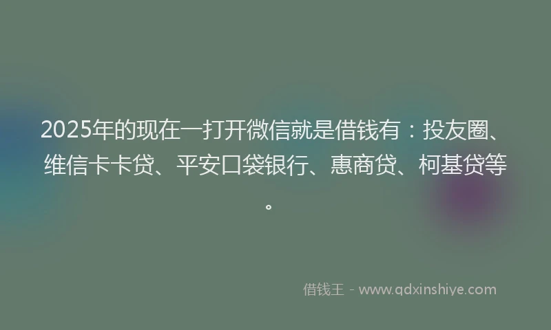 2025年的现在一打开微信就是借钱有：投友圈、维信卡卡贷、平安口袋银行、惠商贷、柯基贷等。