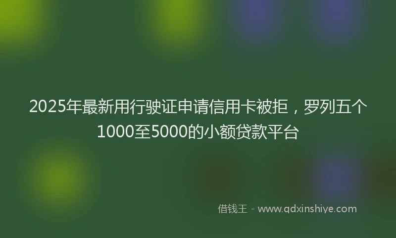 2025年最新用行驶证申请信用卡被拒，罗列五个1000至5000的小额贷款平台