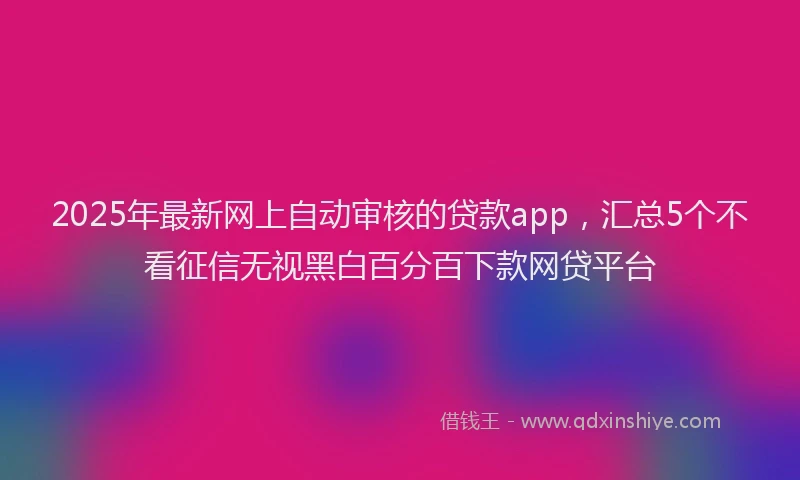 2025年最新网上自动审核的贷款app，汇总5个不看征信无视黑白百分百下款网贷平台