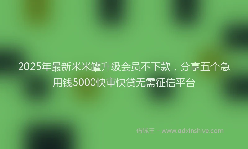 2025年最新米米罐升级会员不下款，分享五个急用钱5000快审快贷无需征信平台