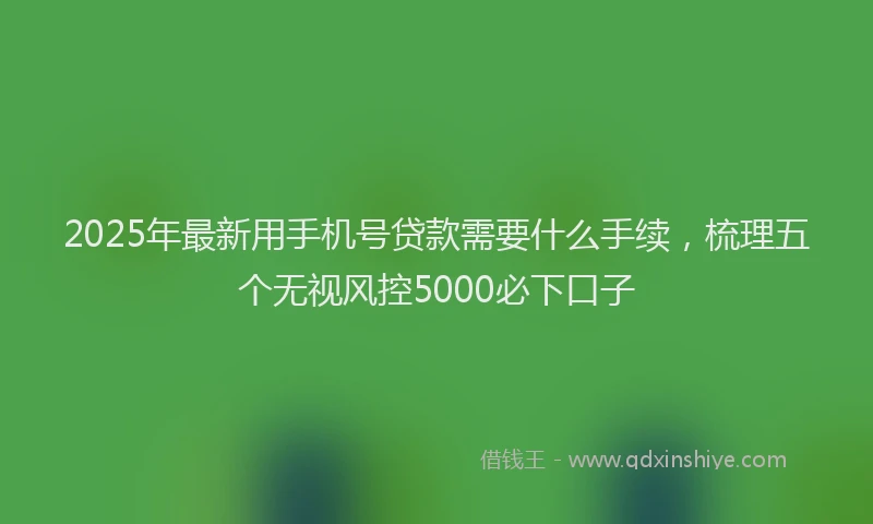 2025年最新用手机号贷款需要什么手续，梳理五个无视风控5000必下口子