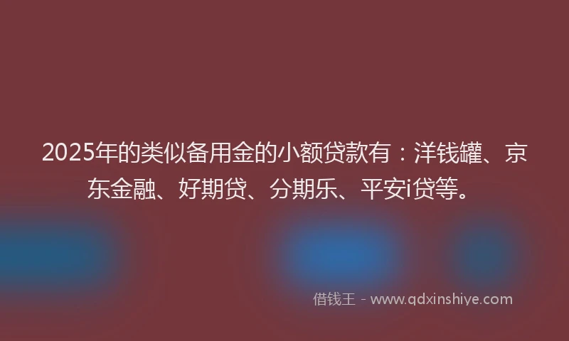 2025年的类似备用金的小额贷款有：洋钱罐、京东金融、好期贷、分期乐、平安i贷等。