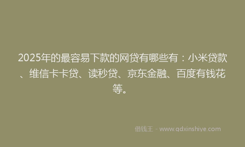 2025年的最容易下款的网贷有哪些有：小米贷款、维信卡卡贷、读秒贷、京东金融、百度有钱花等。