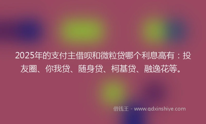 2025年的支付主借呗和微粒贷哪个利息高有：投友圈、你我贷、随身贷、柯基贷、融逸花等。