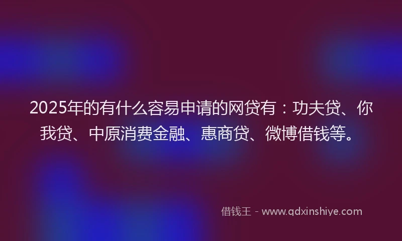2025年的有什么容易申请的网贷有：功夫贷、你我贷、中原消费金融、惠商贷、微博借钱等。
