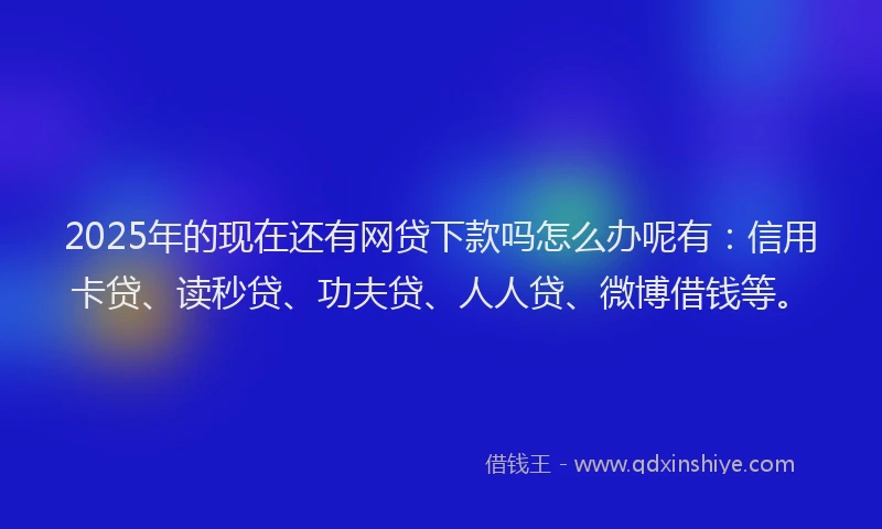 2025年的现在还有网贷下款吗怎么办呢有：信用卡贷、读秒贷、功夫贷、人人贷、微博借钱等。