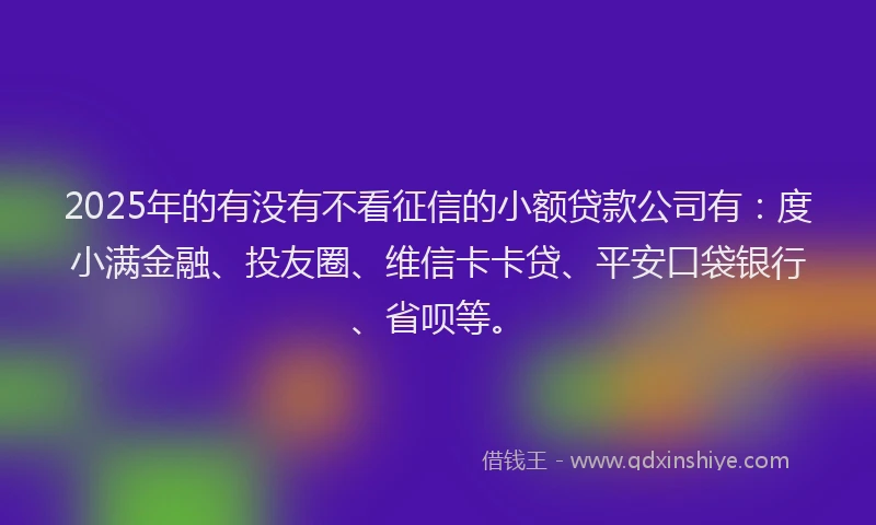 2025年的有没有不看征信的小额贷款公司有：度小满金融、投友圈、维信卡卡贷、平安口袋银行、省呗等。