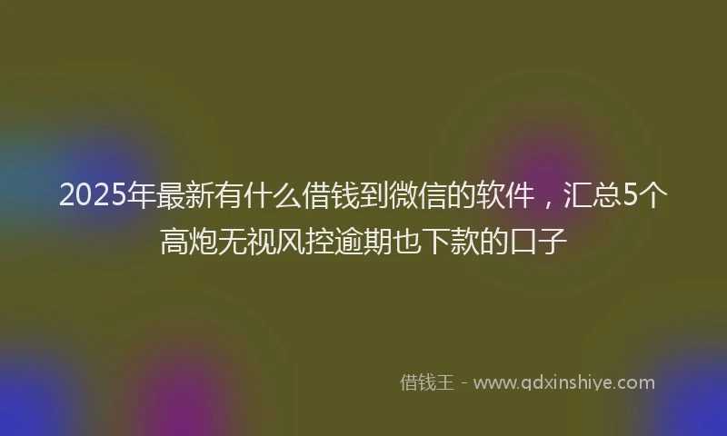 2025年最新有什么借钱到微信的软件，汇总5个高炮无视风控逾期也下款的口子