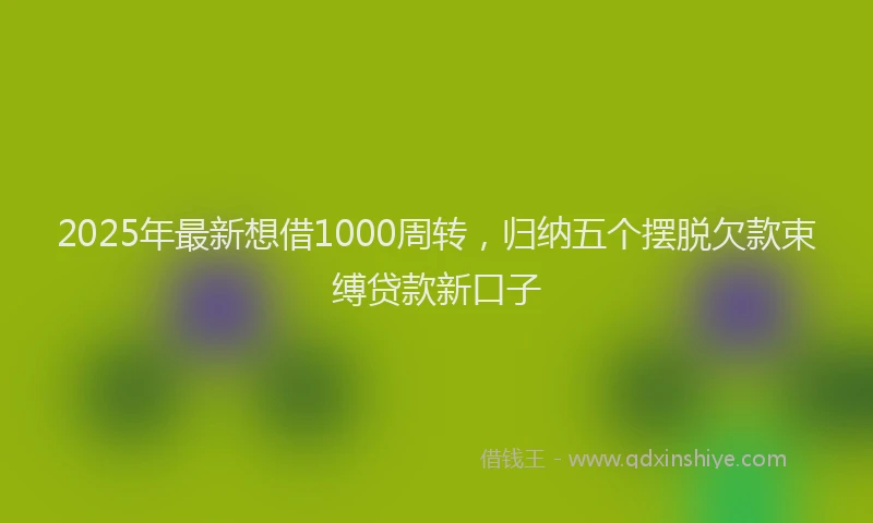 2025年最新想借1000周转，归纳五个摆脱欠款束缚贷款新口子