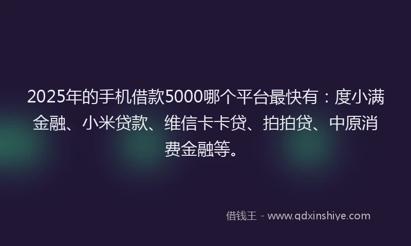 2025年的手机借款5000哪个平台最快有：度小满金融、小米贷款、维信卡卡贷、拍拍贷、中原消费金融等。