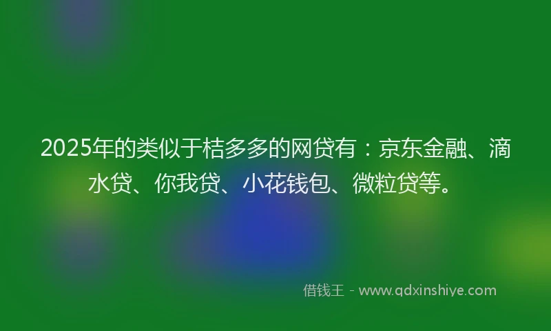 2025年的类似于桔多多的网贷有：京东金融、滴水贷、你我贷、小花钱包、微粒贷等。