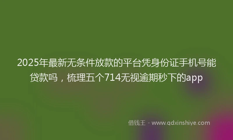 2025年最新无条件放款的平台凭身份证手机号能贷款吗，梳理五个714无视逾期秒下的app