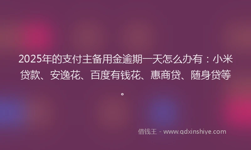 2025年的支付主备用金逾期一天怎么办有：小米贷款、安逸花、百度有钱花、惠商贷、随身贷等。