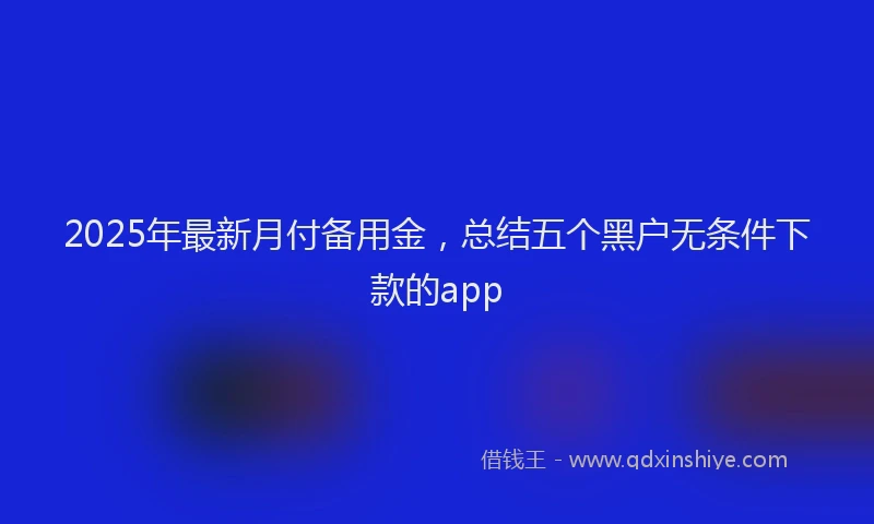 2025年最新月付备用金，总结五个黑户无条件下款的app