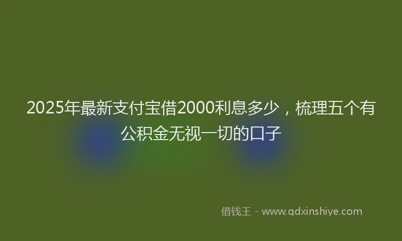 2025年最新支付宝借2000利息多少，梳理五个有公积金无视一切的口子
