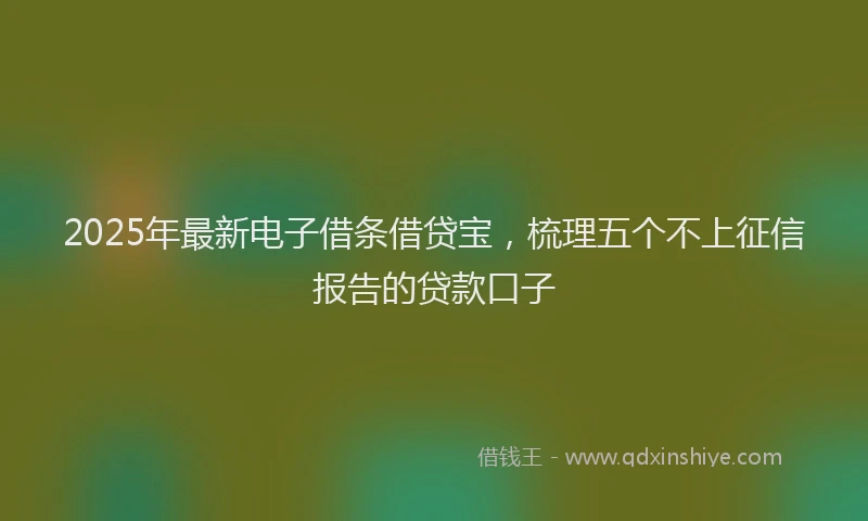 2025年最新电子借条借贷宝，梳理五个不上征信报告的贷款口子