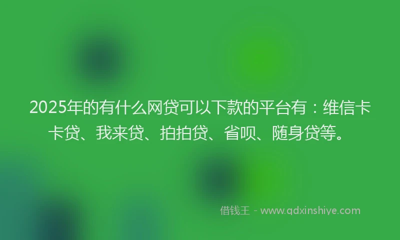 2025年的有什么网贷可以下款的平台有：维信卡卡贷、我来贷、拍拍贷、省呗、随身贷等。