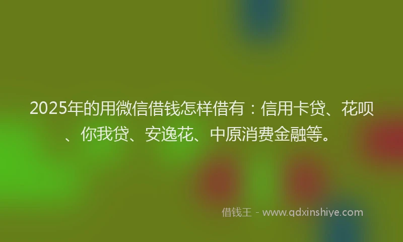 2025年的用微信借钱怎样借有：信用卡贷、花呗、你我贷、安逸花、中原消费金融等。