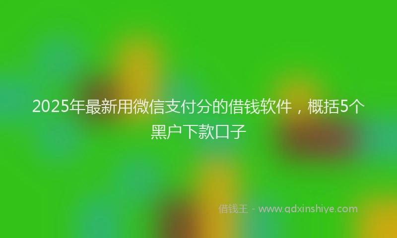 2025年最新用微信支付分的借钱软件，概括5个黑户下款口子