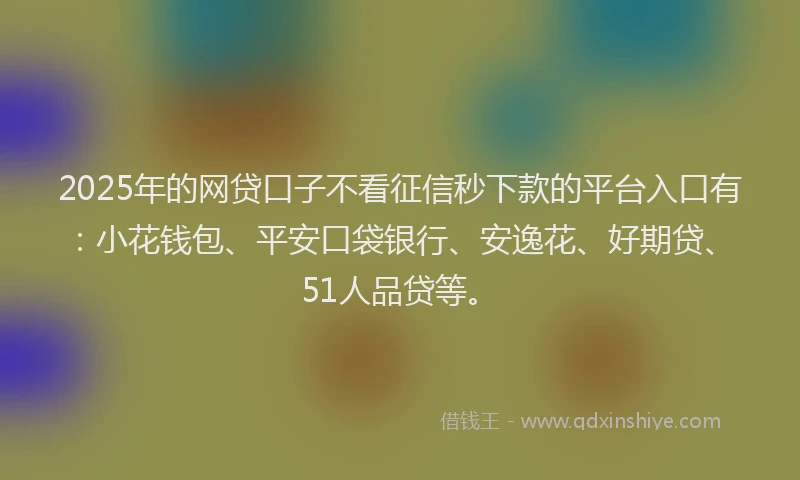 2025年的网贷口子不看征信秒下款的平台入口有：小花钱包、平安口袋银行、安逸花、好期贷、51人品贷等。