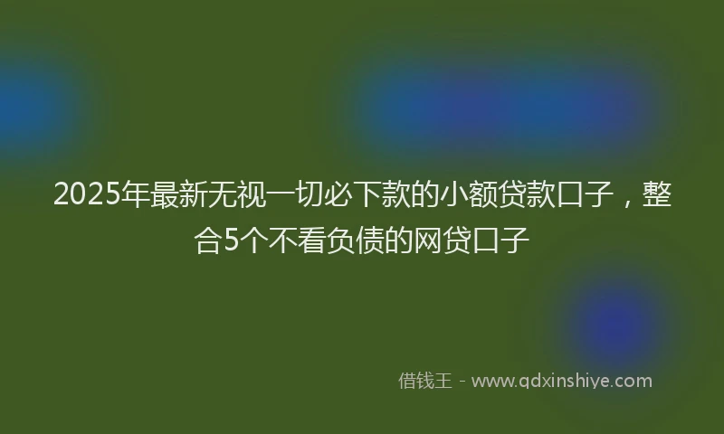 2025年最新无视一切必下款的小额贷款口子，整合5个不看负债的网贷口子