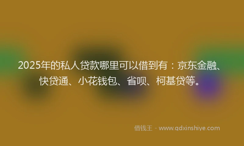 2025年的私人贷款哪里可以借到有：京东金融、快贷通、小花钱包、省呗、柯基贷等。