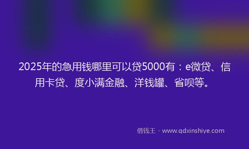 2025年的急用钱哪里可以贷5000有：e微贷、信用卡贷、度小满金融、洋钱罐、省呗等。
