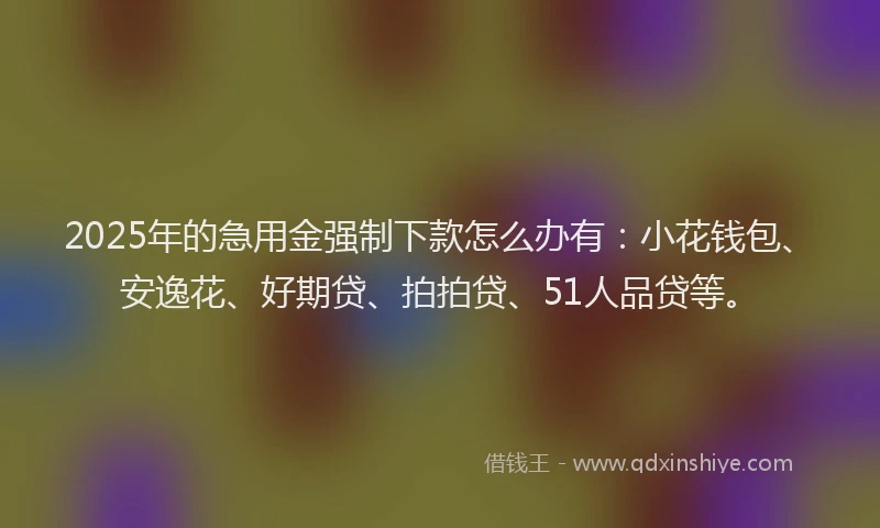 2025年的急用金强制下款怎么办有：小花钱包、安逸花、好期贷、拍拍贷、51人品贷等。