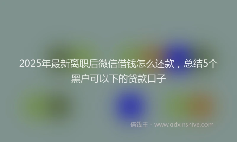 2025年最新离职后微信借钱怎么还款，总结5个黑户可以下的贷款口子