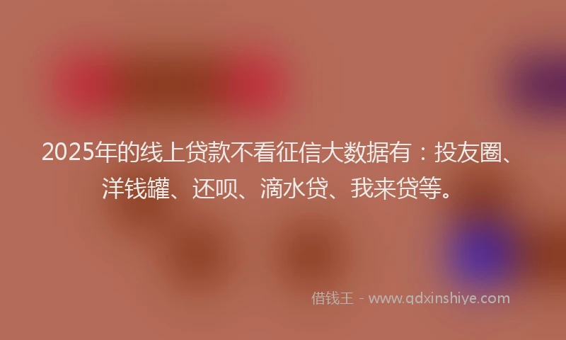 2025年的线上贷款不看征信大数据有：投友圈、洋钱罐、还呗、滴水贷、我来贷等。