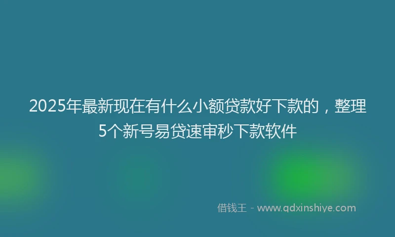 2025年最新现在有什么小额贷款好下款的，整理5个新号易贷速审秒下款软件