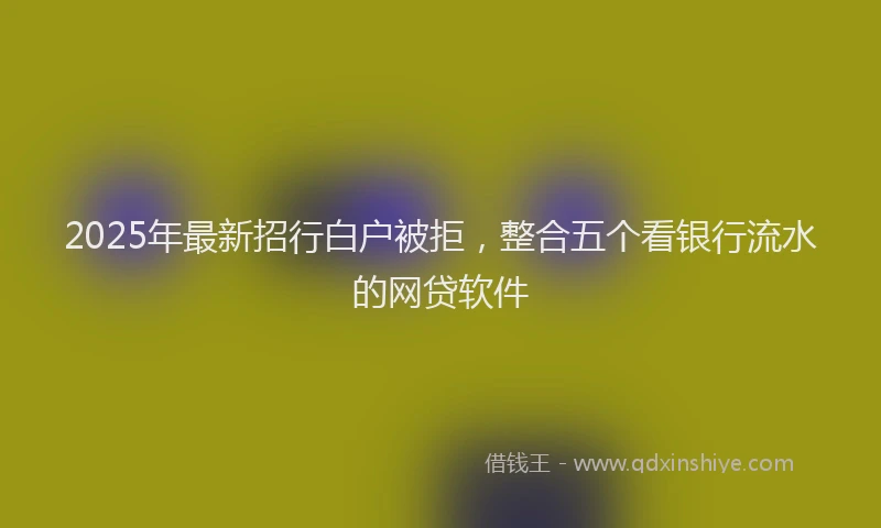 2025年最新招行白户被拒，整合五个看银行流水的网贷软件