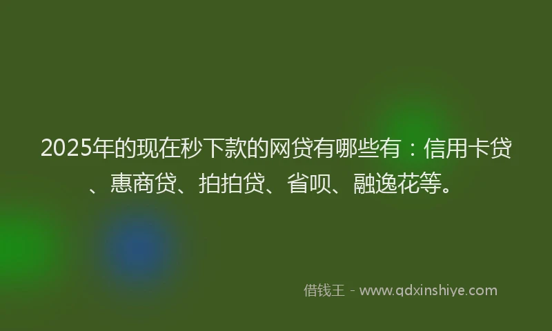 2025年的现在秒下款的网贷有哪些有：信用卡贷、惠商贷、拍拍贷、省呗、融逸花等。