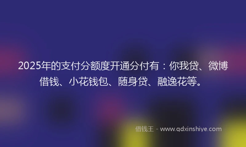 2025年的支付分额度开通分付有：你我贷、微博借钱、小花钱包、随身贷、融逸花等。