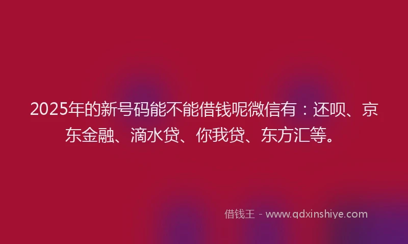 2025年的新号码能不能借钱呢微信有：还呗、京东金融、滴水贷、你我贷、东方汇等。