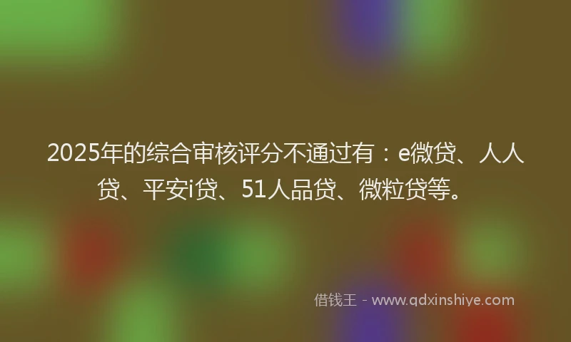 2025年的综合审核评分不通过有：e微贷、人人贷、平安i贷、51人品贷、微粒贷等。