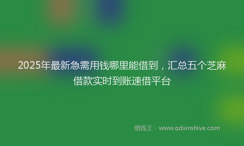 2025年最新急需用钱哪里能借到，汇总五个芝麻借款实时到账速借平台