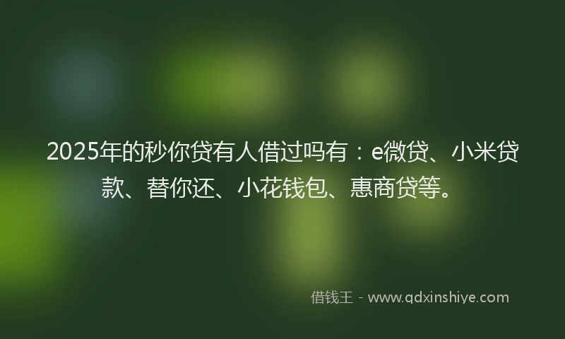 2025年的秒你贷有人借过吗有:e微贷、小米贷款、替你还、小花钱包、惠商贷等。