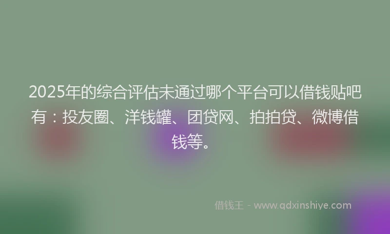 2025年的综合评估未通过哪个平台可以借钱贴吧有：投友圈、洋钱罐、团贷网、拍拍贷、微博借钱等。