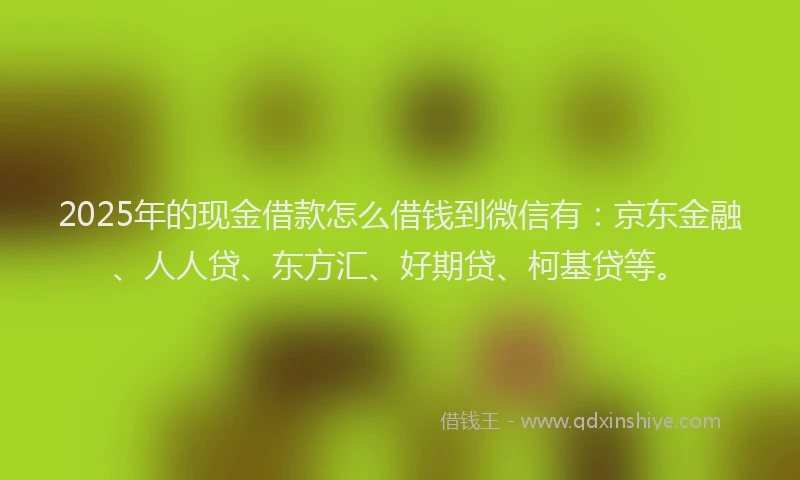 2025年的现金借款怎么借钱到微信有：京东金融、人人贷、东方汇、好期贷、柯基贷等。