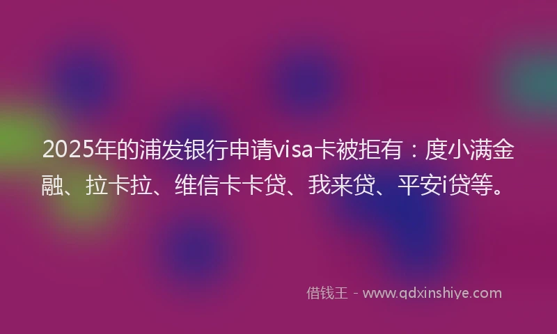 2025年的浦发银行申请visa卡被拒有：度小满金融、拉卡拉、维信卡卡贷、我来贷、平安i贷等。